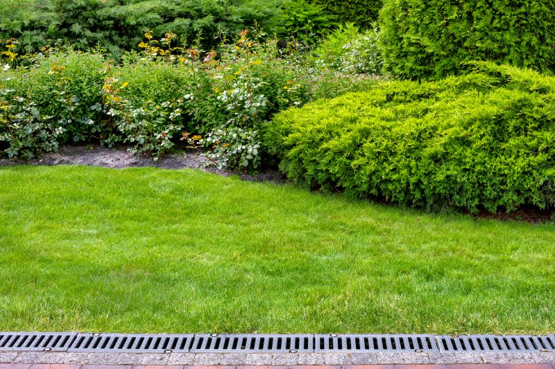 Garden Drainage Service